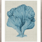 Coral SPLENDOUR (Pale Blue) XIV