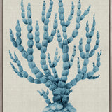Coral Splendour (Pale Blue) XV (Canvas)