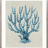 Coral SPLENDOUR (Pale Blue) XV
