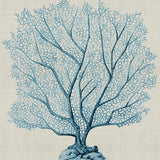 Coral SPLENDOUR (Pale Blue) XVI