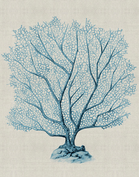 Coral SPLENDOUR (Pale Blue) XVI