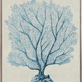 Coral Splendour (Pale Blue) XVI (Canvas)