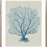 Coral SPLENDOUR (Pale Blue) XVI