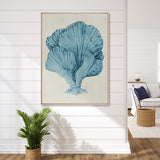 Coral Splendour (Pale Blue) XIV (Canvas)