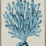 Coral Splendour (Pale Blue) XVII (Canvas)