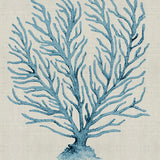 Coral SPLENDOUR (Pale Blue) XVIII