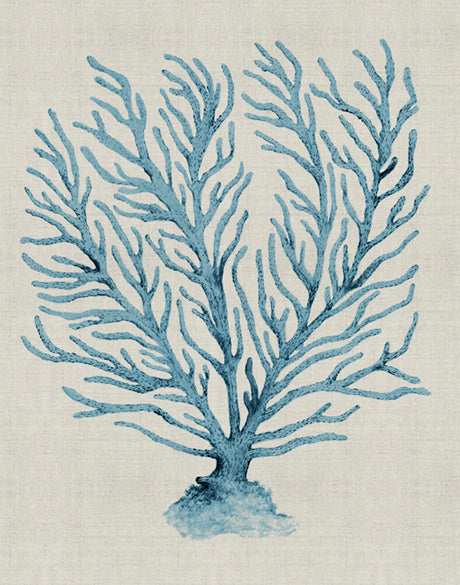 Coral SPLENDOUR (Pale Blue) XVIII