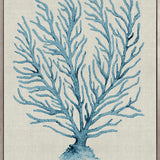 Coral Splendour (Pale Blue) XVIII (Canvas)