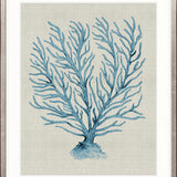 Coral SPLENDOUR (Pale Blue) XVIII