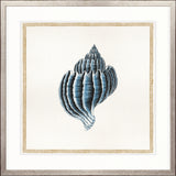 Martyn Shell II Small (550mm W x 550mm H) / Standard Clear Glass