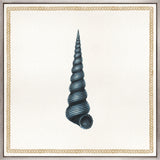 Martyn Shell V (Canvas) Large (860mm W x 860mm H)
