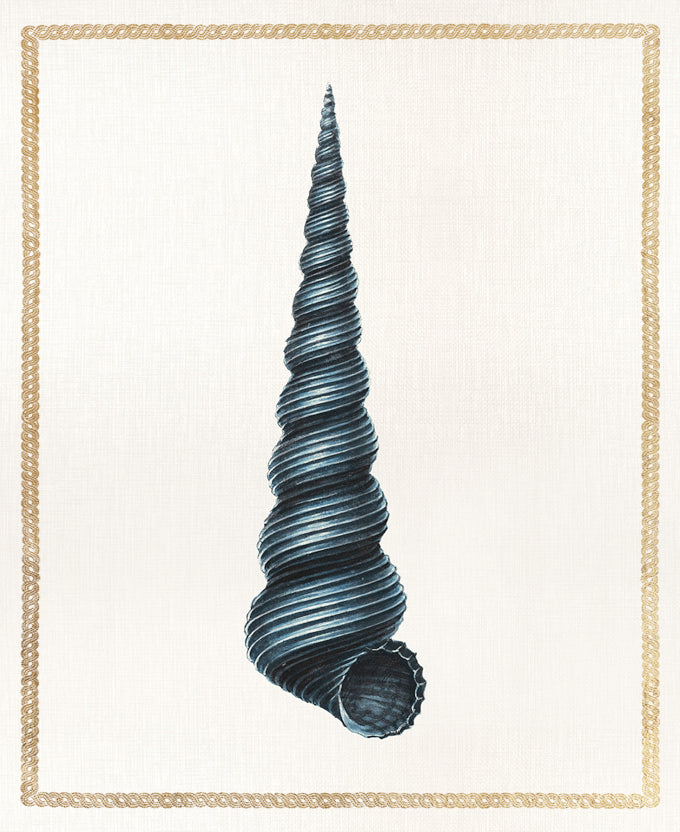 Martyn Shell V