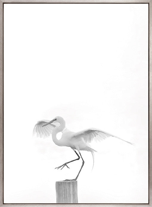 Mercer Black & White IV (Canvas)