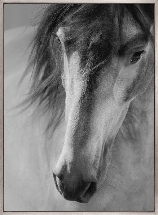 Mercer Black & White XI (Canvas)