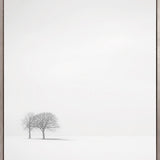 Mercer Black & White XIV (Canvas)