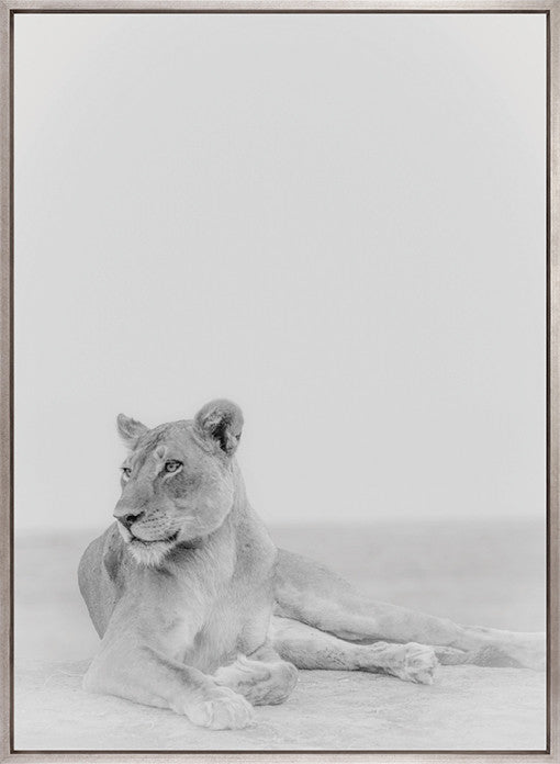 Mercer Black & White XV (Canvas)