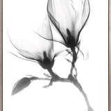 Mercer Black & White XXV (Canvas)