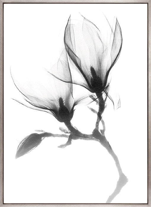 Mercer Black & White XXV (Canvas)