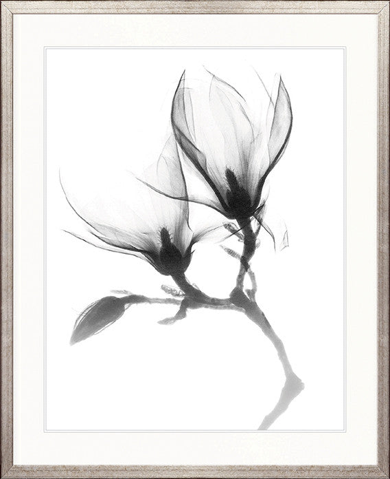 Mercer Black & White XXV
