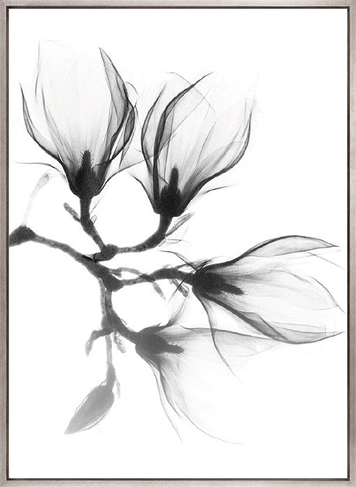 Mercer Black & White XXVI (Canvas)