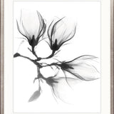 Mercer Black & White XXVI