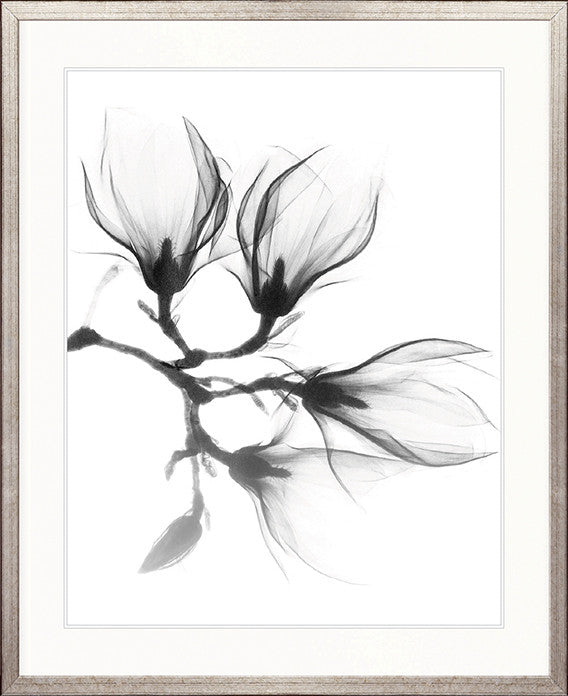 Mercer Black & White XXVI