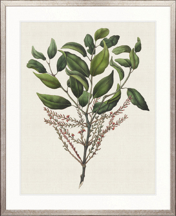 Botanical Bliss III