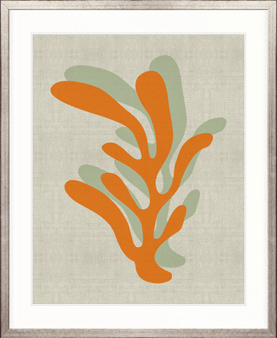 Modern Coral IV
