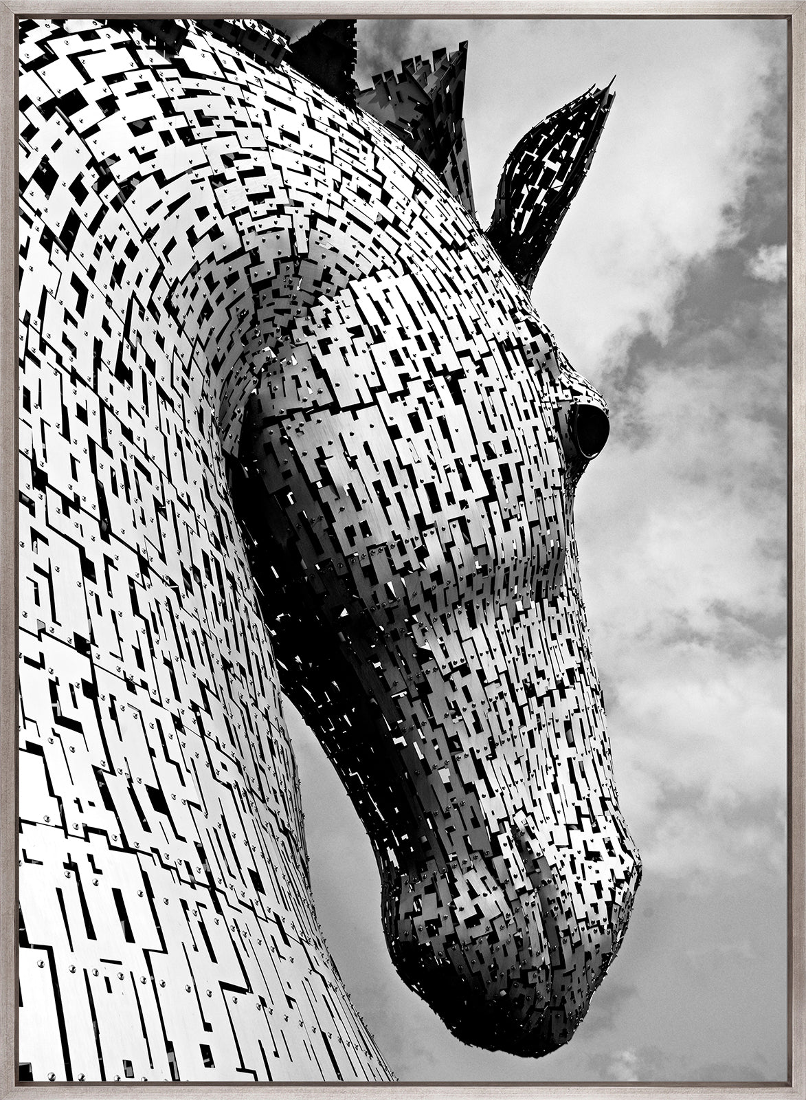 Mythical Kelpie (Canvas)