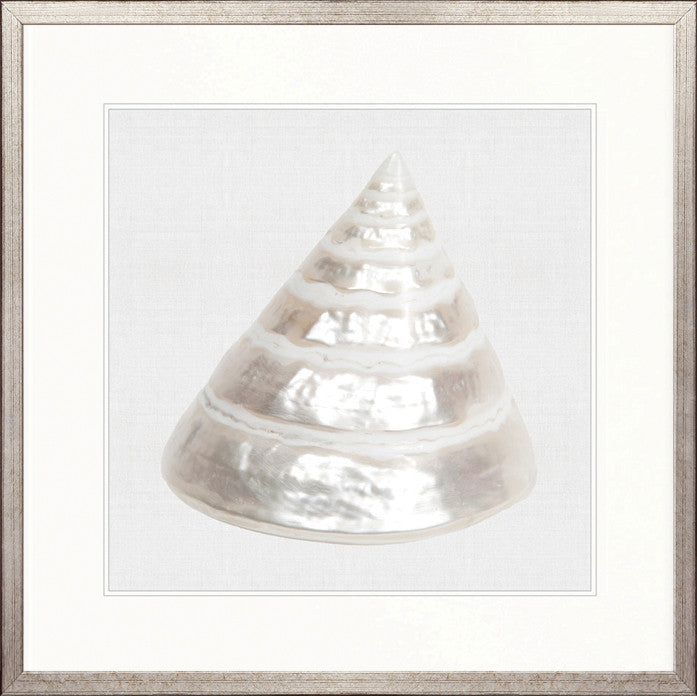 Shell Subject IV