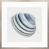 Shell Subject VI