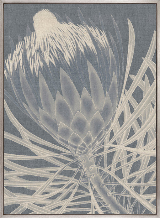 Protea Silhouette III (Canvas)