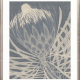 Protea Silhouette III