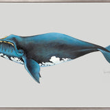 Southern Right Whale (Canvas)