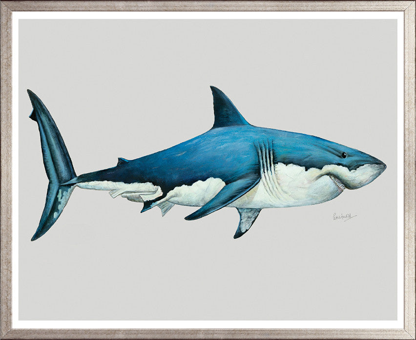 Great White Shark