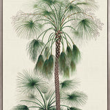Palme D'Or Specimen IV (Canvas)