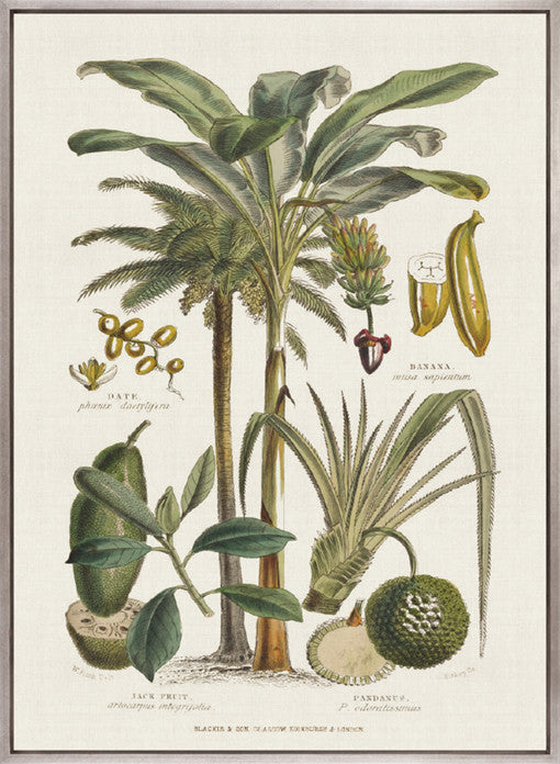 Tropicano Delight I (Canvas)