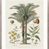 Tropicano Delight II