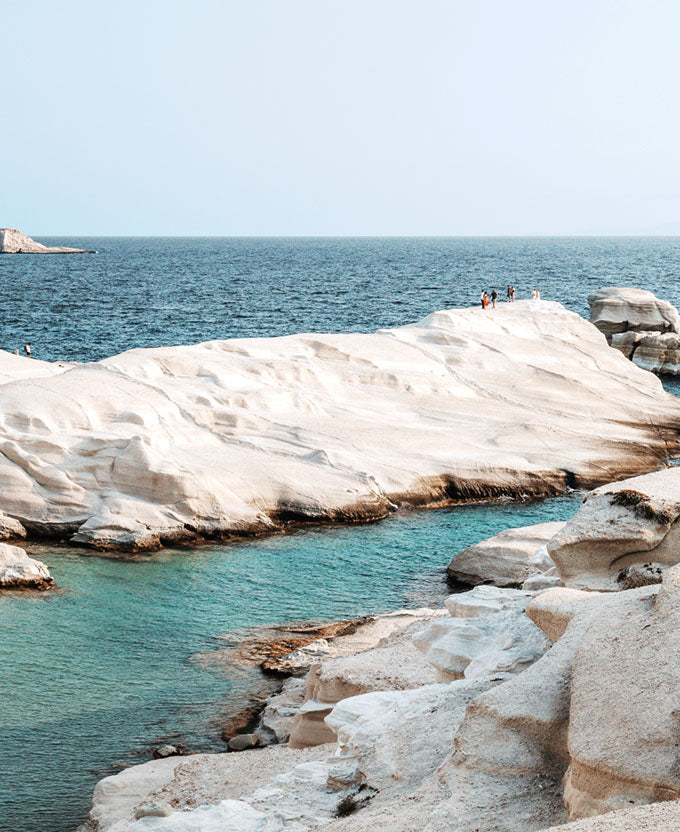 Paralia VIII