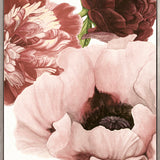 Peonies & Roses I (Canvas)