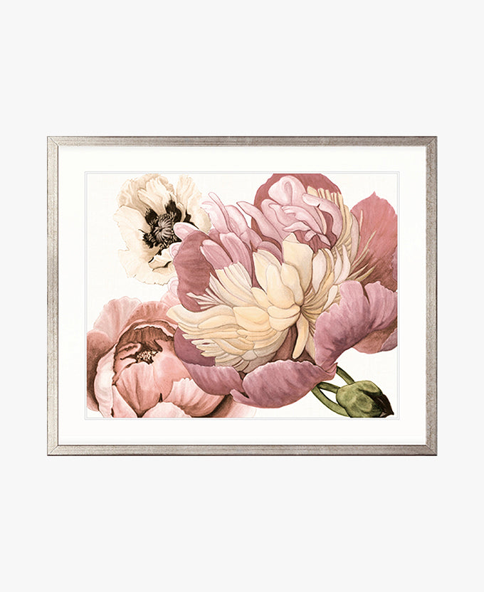 Peonies & Roses II