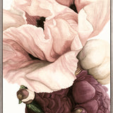 Peonies & Roses IV (Canvas)