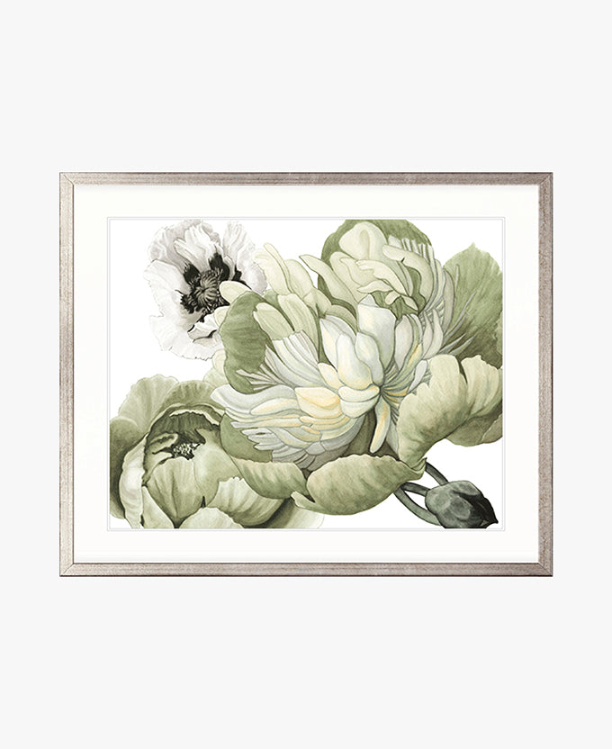 Peonies & Roses VI