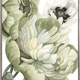 Peonies & Roses VI (Canvas)