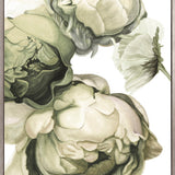 Peonies & Roses VII (Canvas)