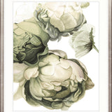 Peonies & Roses VII