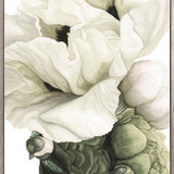 Peonies & Roses VIII (Canvas)