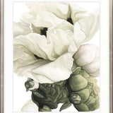 Peonies & Roses VIII