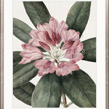 Phillipson Floral I
