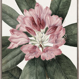 Phillipson Floral I (Canvas)